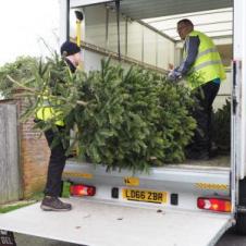 Pilgrims Hospices Christmas Tree Recycling volunteers and van