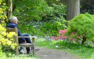 An elderly couple sitting on a bench in a woodland garden, admiring the azaleas and birdsong 