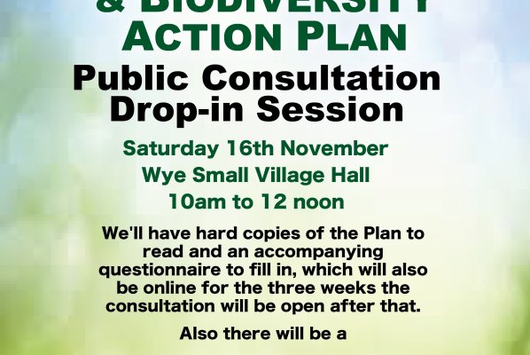 Consultation Event - Climate and Biodiversity Action Plan