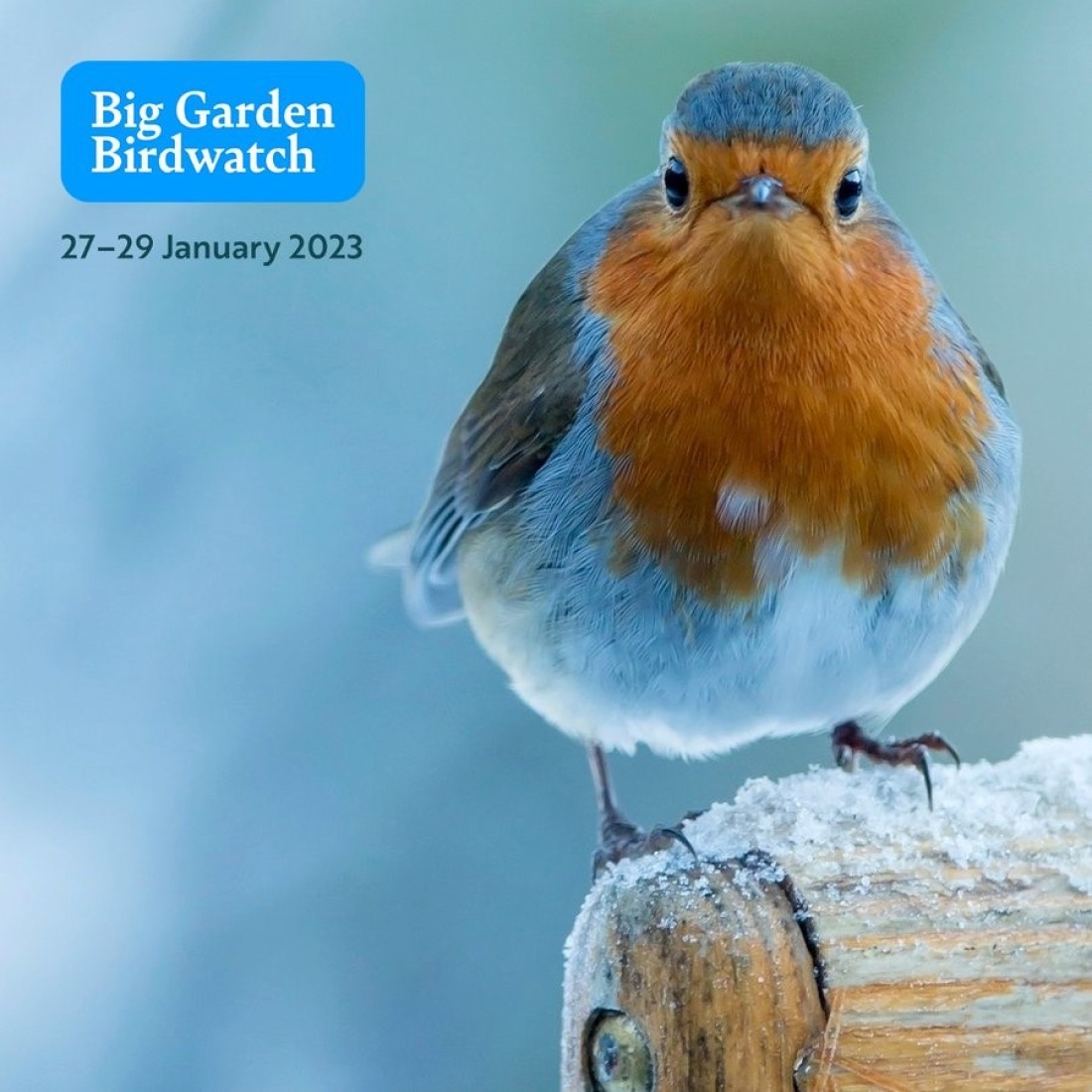 RSPB Big Garden Birdwatch 27th to 29th January 2023 poster of a robin