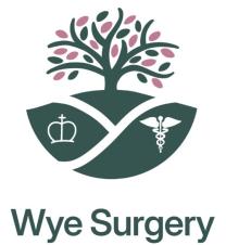 Wye Surgery logo