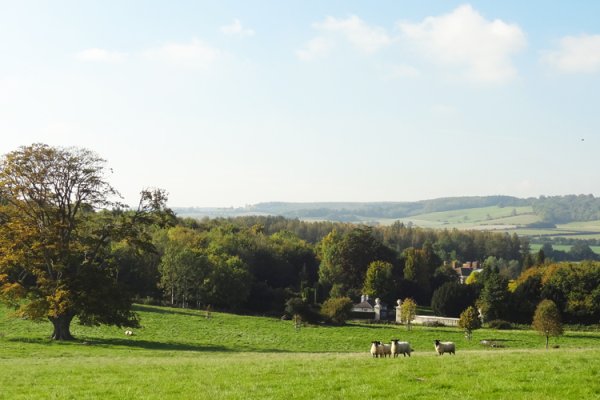 A view of Olantigh Park, Wye in the autumn