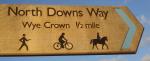 Image: North Downs Way National Trail. The oak signboard reads "Wye Crown 1/2 mile"